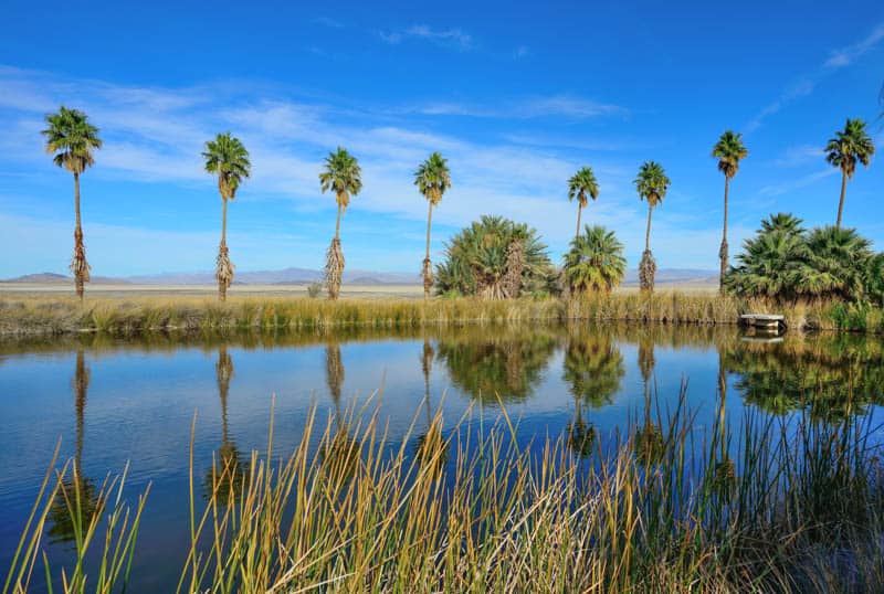 The lake at Zzyzx Road near Baker, California