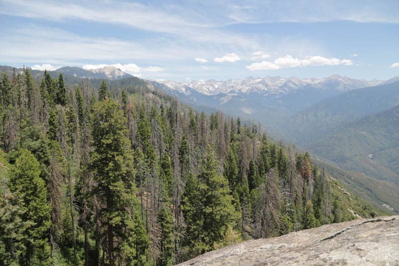 Views at Sequoia National Park California