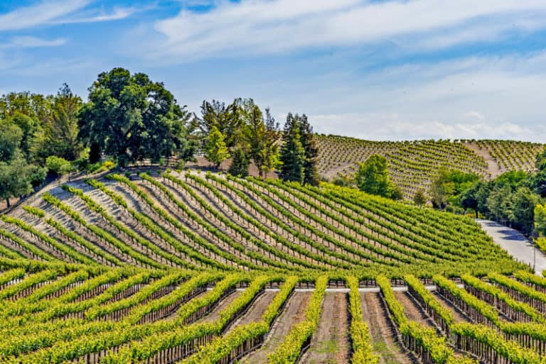 16 Delightful Things to Do in Paso Robles, California! - Roadtripping ...
