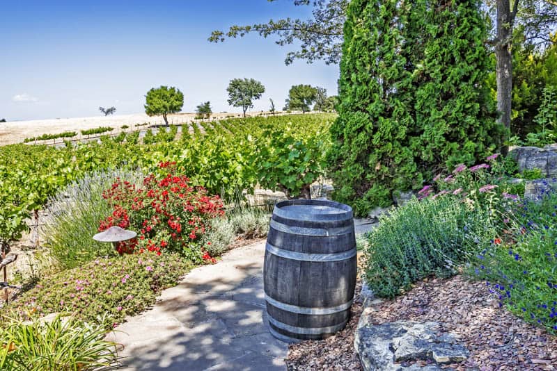 Winery in Paso Robles California