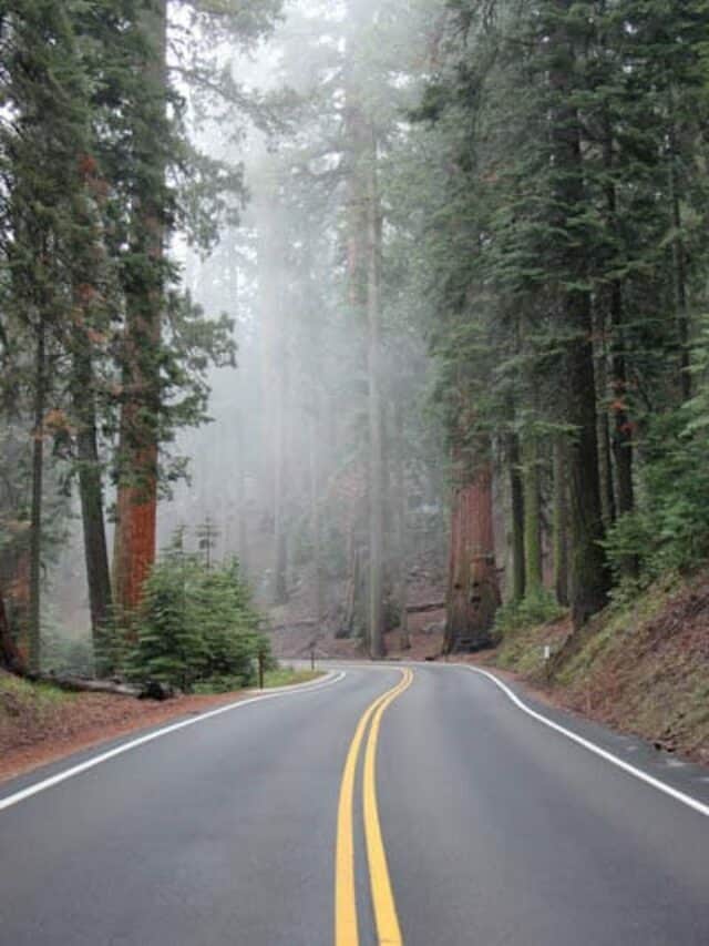 Beautiful Drives in California Story