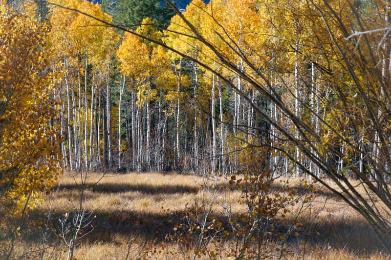 Hiking the Gull Lake Loop in California