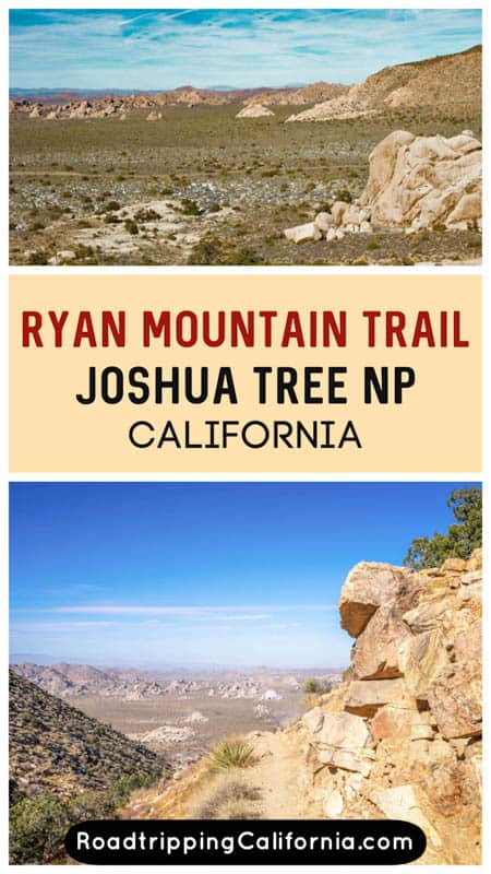 Discover what to expect on the Ryan Mountain hike in Joshua Tree National Park in Southern California. Plus our tips for hiking this challenging trail!