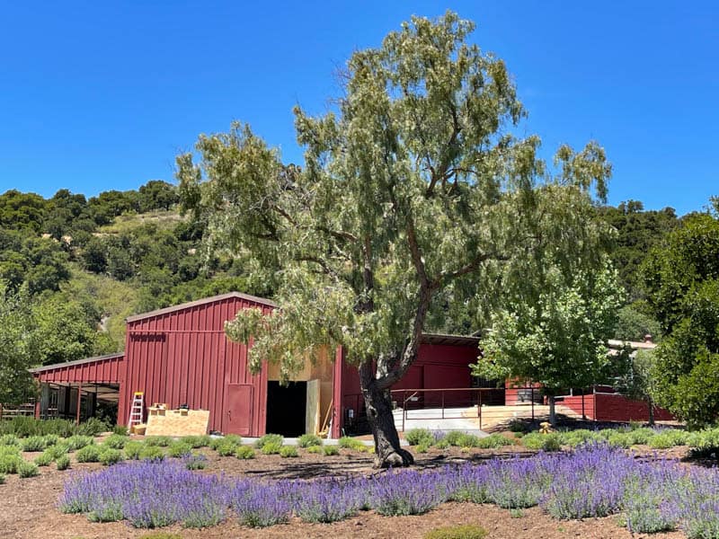 A picturesque barn at the entrance to Holman Ranch in Carmel Valley, California