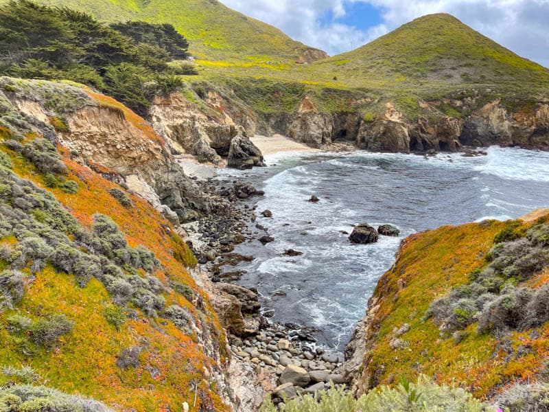  A view from the Bluff Trail at Garrapata State Park in Big Sur, CA
