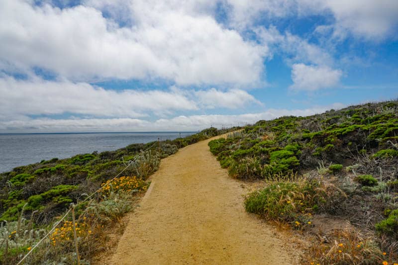 Sand Hill Trail in Point Lobos California