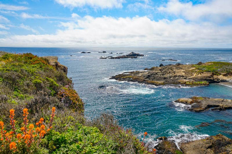 Sea Lion Point Trail in Point Lobos State Reserve, Carmel, California