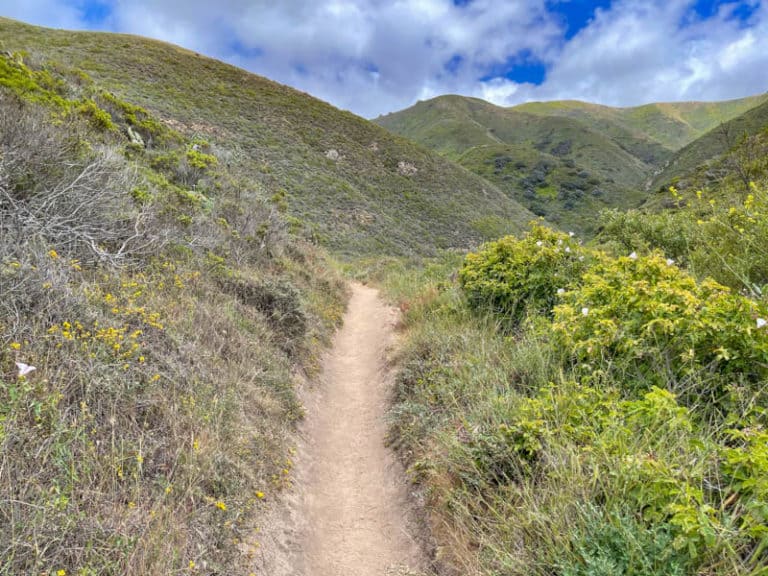 Soberanes Canyon Trail in Garrapata State Park is one of the best hikes in Big Sur, California