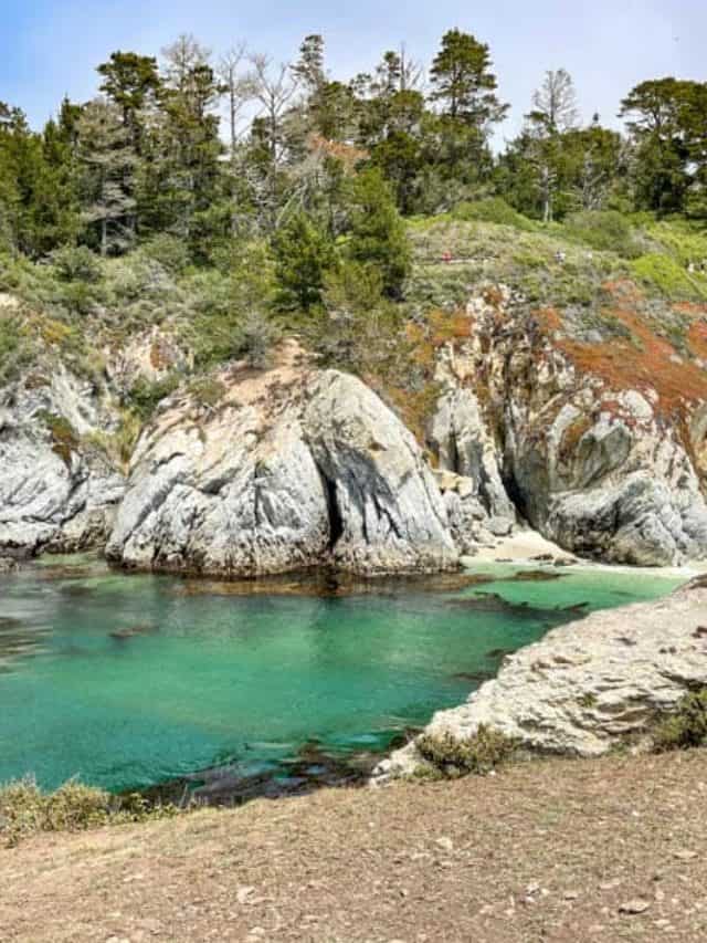 cropped-Bird-Island-Trail-Point-Lobos-SP.jpg