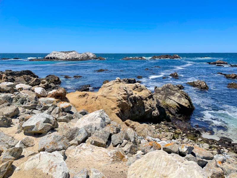A view of Bird Rock along the 17-Mile Drive, where you can see lots of cormorants and pelicans