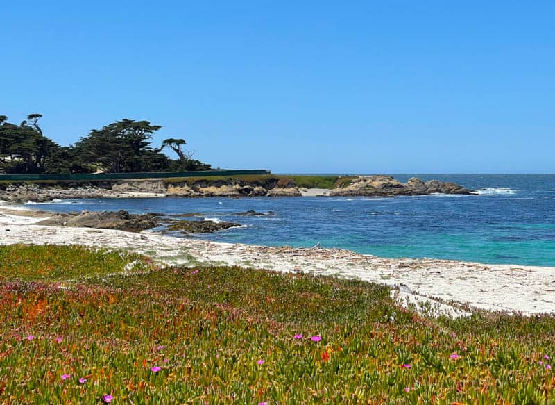 A view of Fanshell Beach along the 17-Mile Drive in California