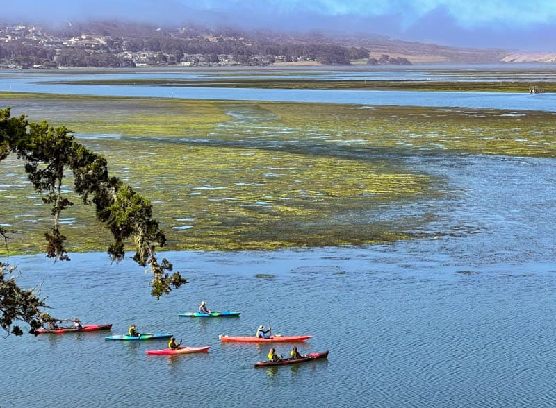 Kayaking is a great way to get up close to the wildlife and marine life in Morro Bay, California