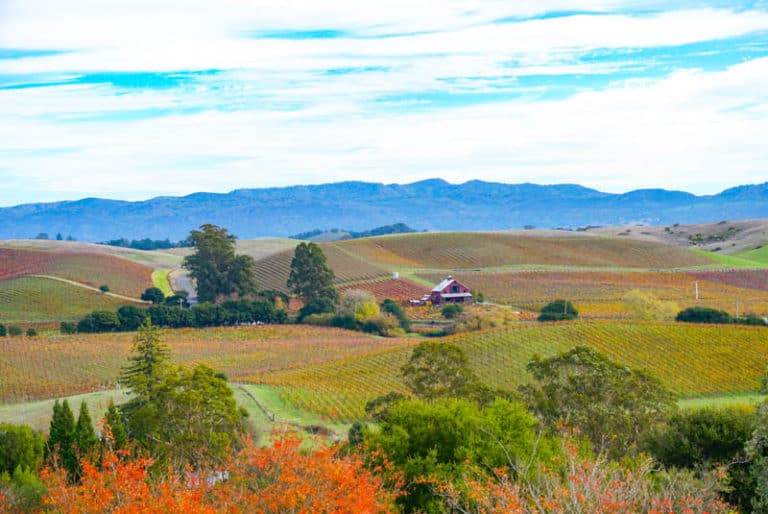 Napa Valley in California -- Where to Stay on a Getaway
