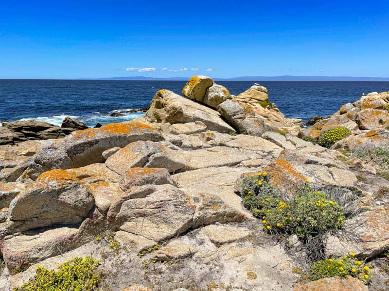 Scenery along 17-Mile Drive in Pebble Beach in Monterey County, California
