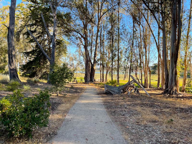 Strolling Sweet Springs Natural Preserve in Los Osos California