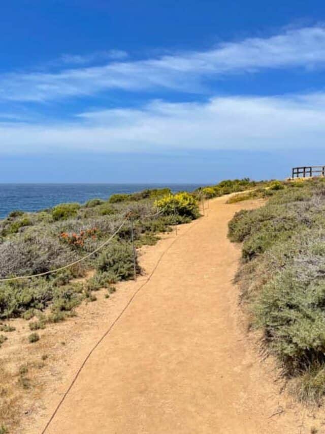 Easy Hiking Trails in Big Sur Story