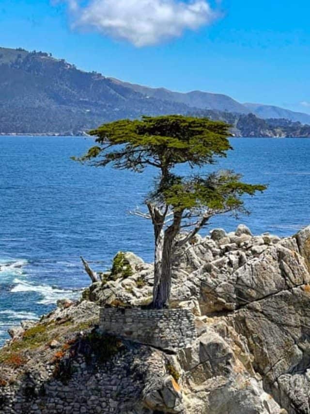 Guide to the 17 Mile Drive Story