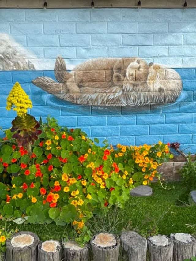 cropped-Sea-Otter-Mural-Morro-Bay.jpg
