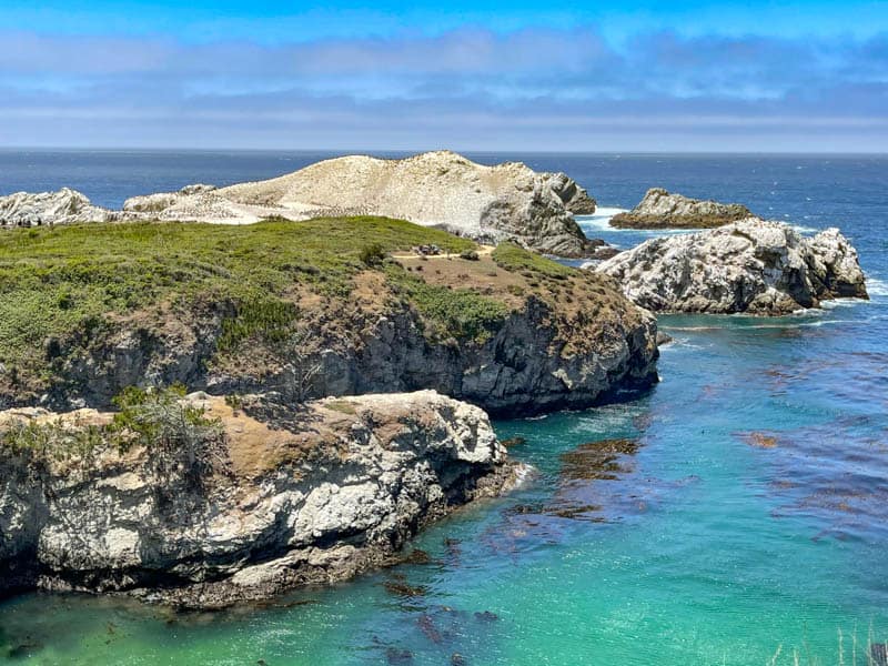 A beautiful view at Point Lobos, California