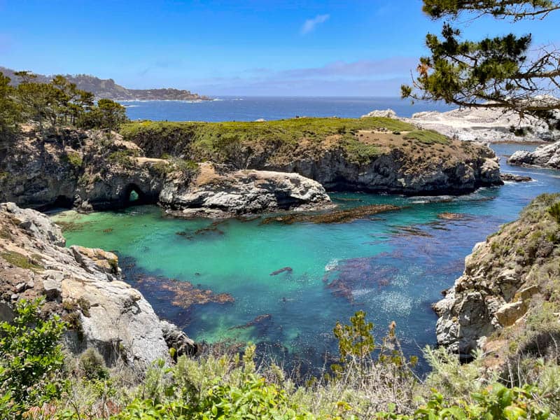 China Cove in Point Lobos State Natural Reserve California