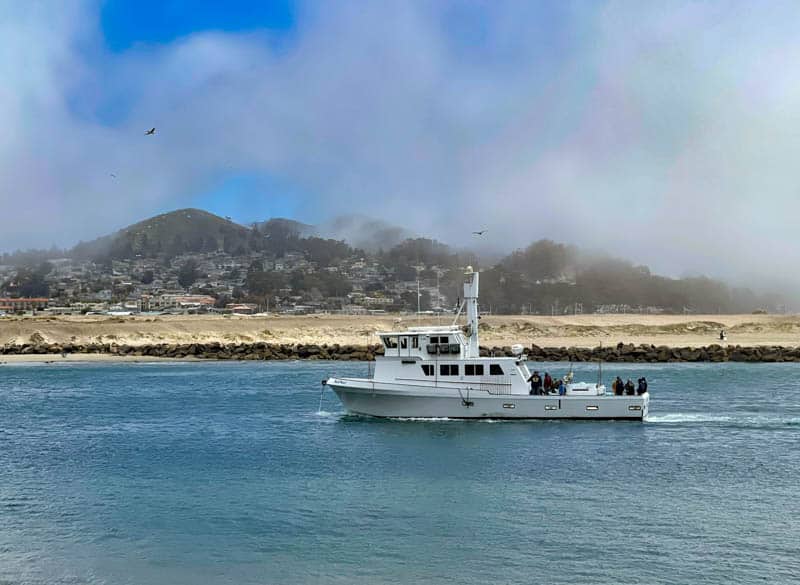 Cruising Morro Bay near Los Osos CA