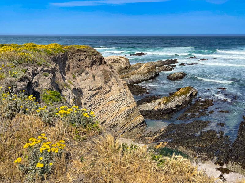 Exploring Montana de Oro State Park is one of the best things to do in Los Osos California