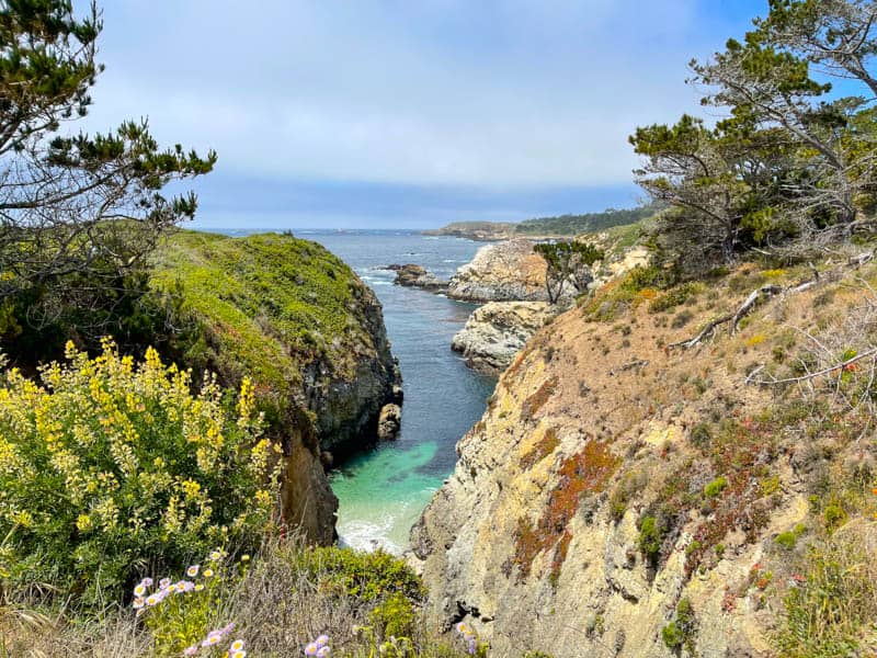 A view from Bird Island Trail in Point Lobos California