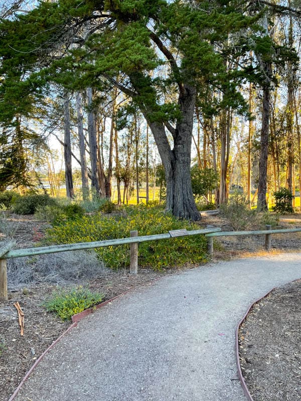 Walking Sweet Springs Nature Reserve in Los Osos, California