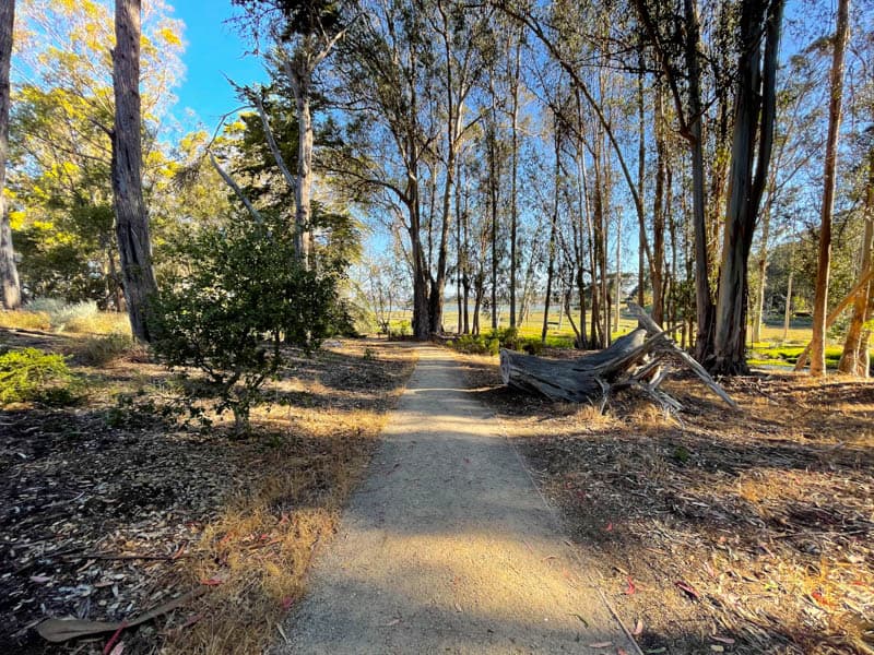 The trails at Sweet Springs Nature preserve in Los Osos make for pleasant walking. 