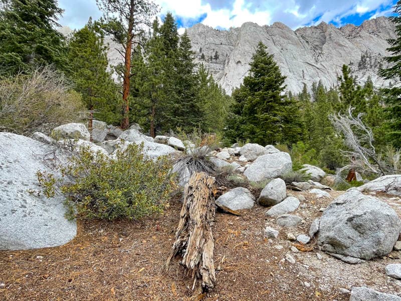 A view from the Mount Whitney Trail Trailhead Area