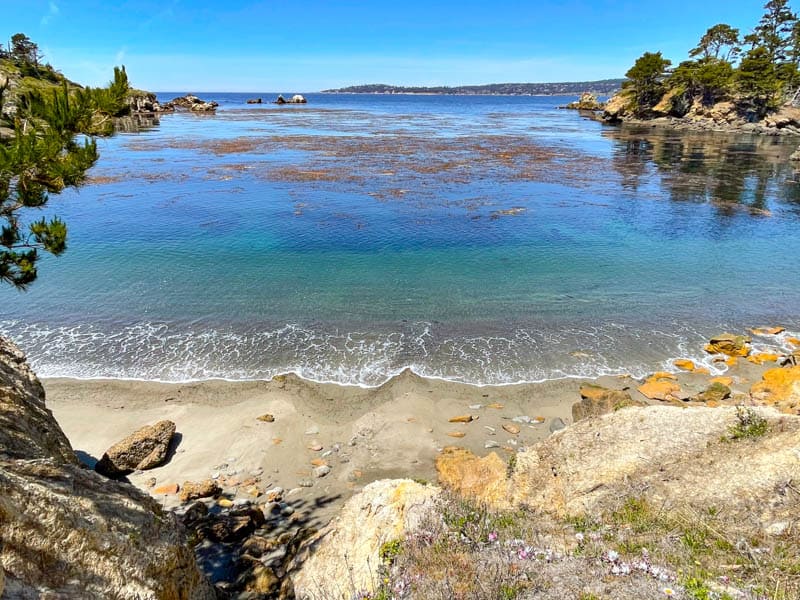 A view from Granite Point Trail in Point Lobos California