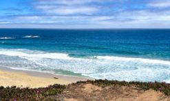 15 Must-Visit Monterey Beaches (+ Map)!