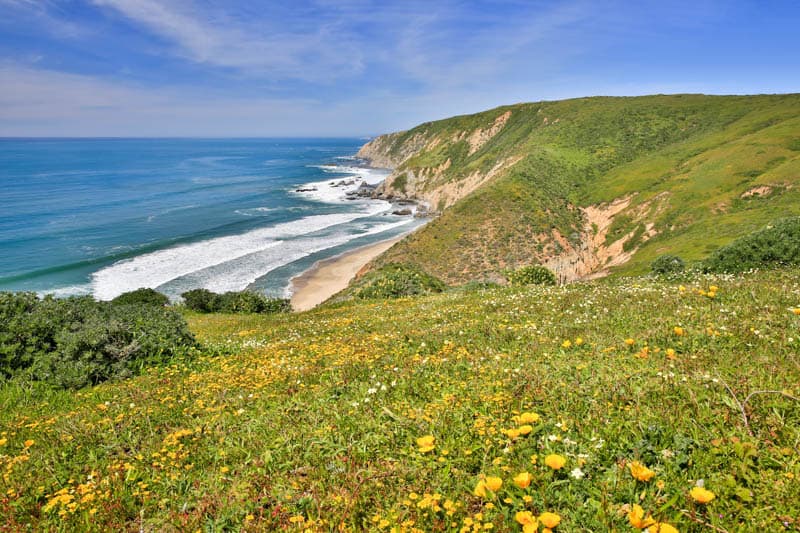 Beautiful coastline at Point Reyes, CA