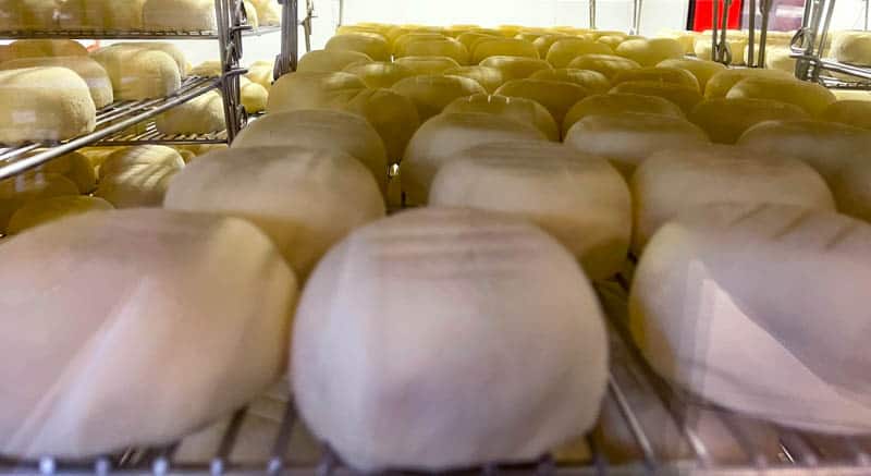 Red Hawk Cheese being made at Cowgirl Creamery