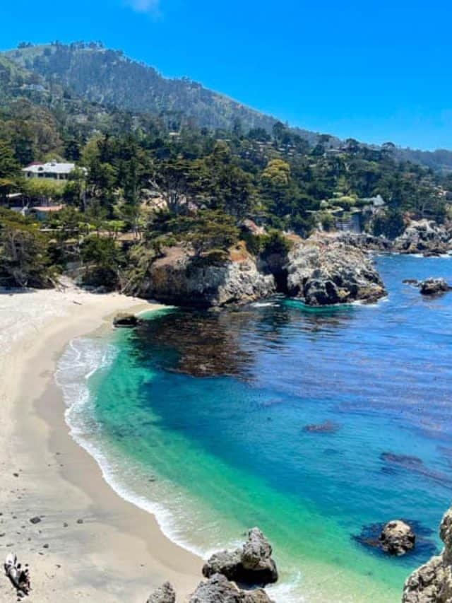 cropped-Gibson-Beach-at-Point-Lobos.jpg