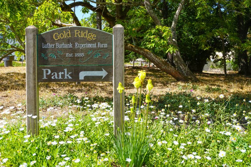 The Luther Burbank Experiment Farm in Sebastopol, CA