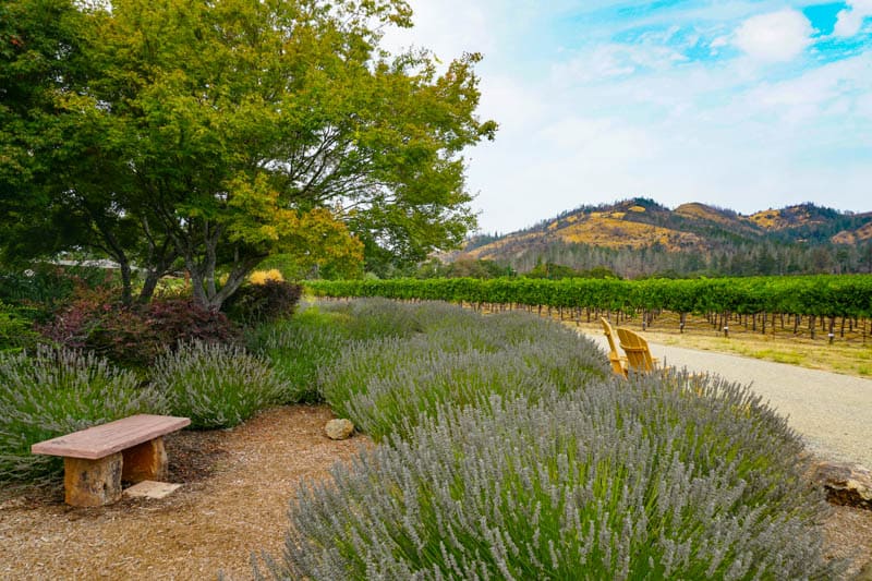 Saint Francis Winery in Sonoma County, CA