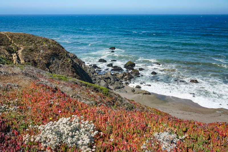 Sonoma Coast Park offers stunning views of the ocean