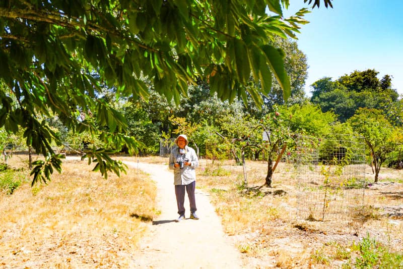 Touring the Luther Burbank Experiment Farm in Sebastopol, CA