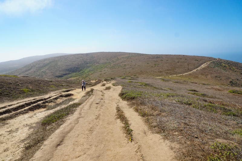 Climbing up Tomales Point Trail