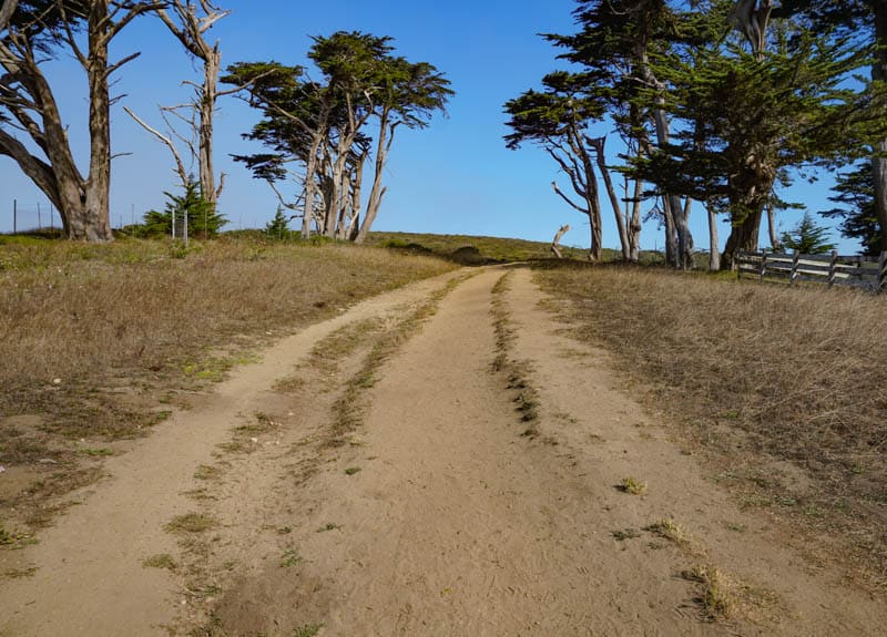 The start of Tomales Point Trail in Point Reyes
