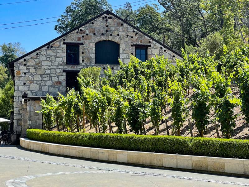 Buena Vista Winery in Sonoma, California