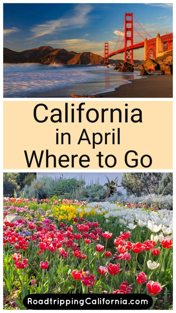 Discover the best places to visit in California in the spring. Chase wildflowers and waterfalls and visit vibrant cities, charming towns, and beautiful parks. 