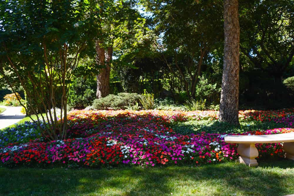 A summer floral display at Ferrari- Carano Winery in Healdsburg  CA