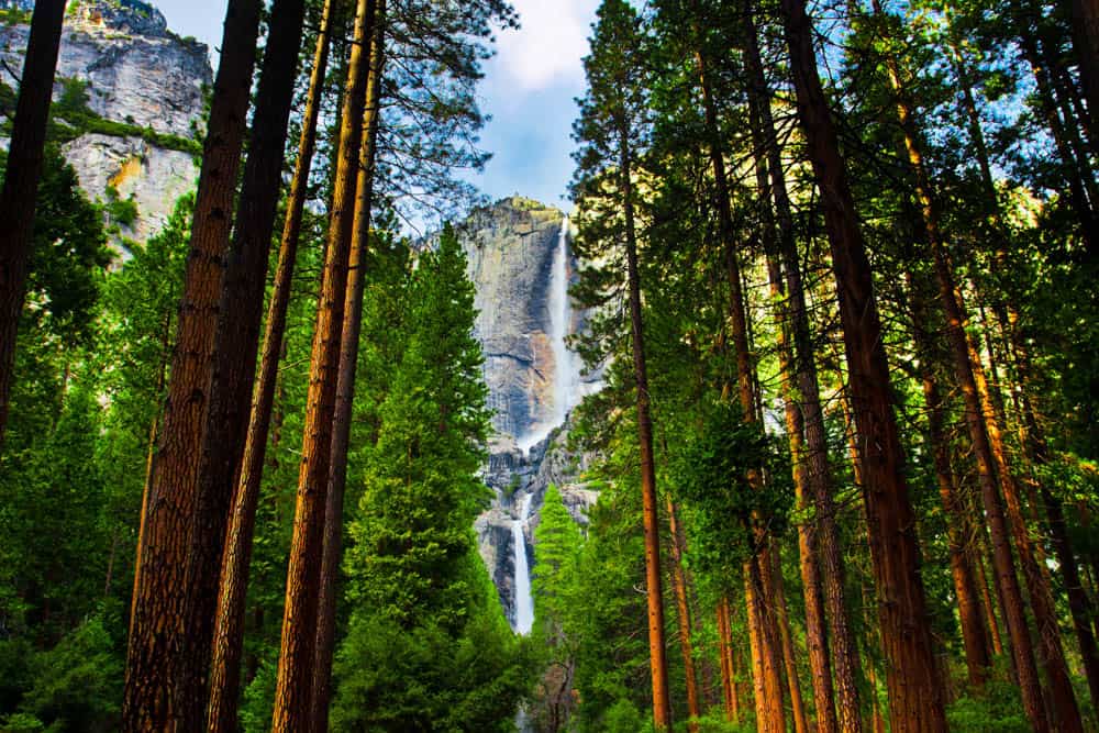 Yosemite Falls in Yosemite National Park CA