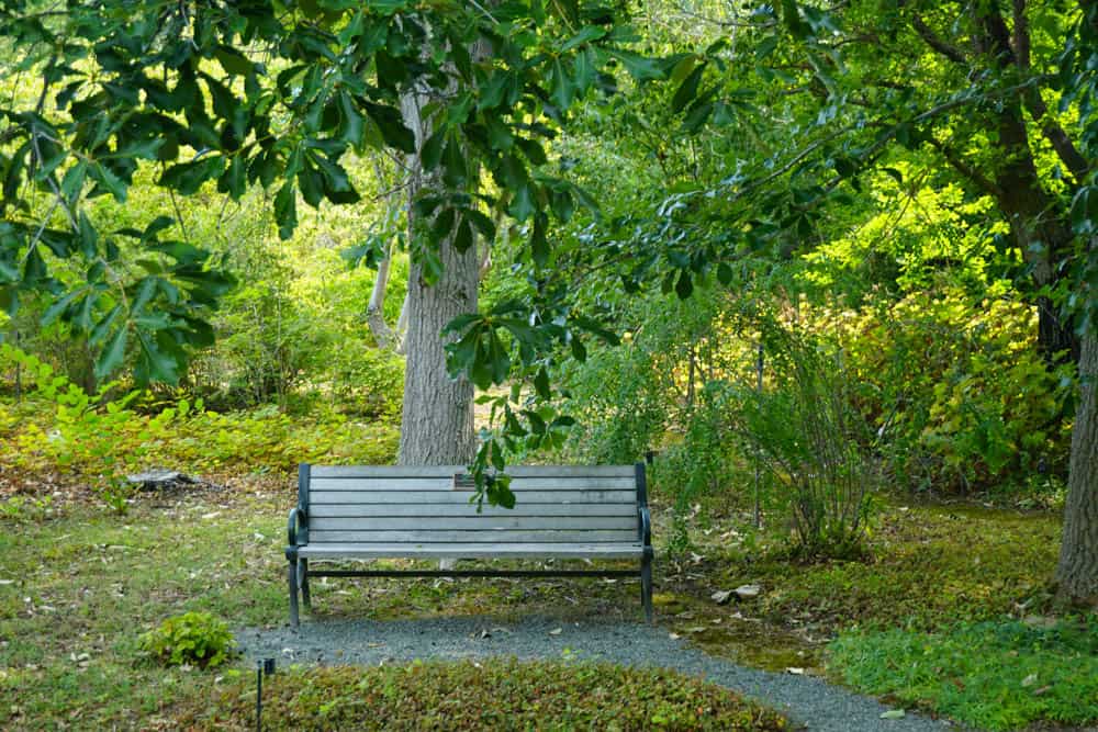 A bench in Sonoma Botanical Garden invites restful enjoyment of your surroundings