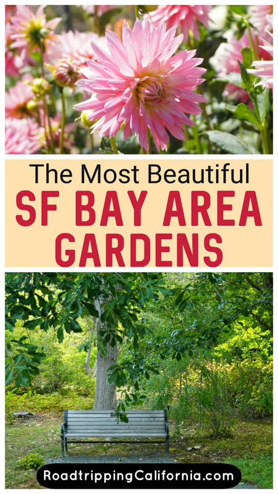 Discover the bests Bay Area gardens to visit in and around San Francisco, California! From heritage homes and gardens to botanical gardens, these are the best gardens to visit near San Francisco.