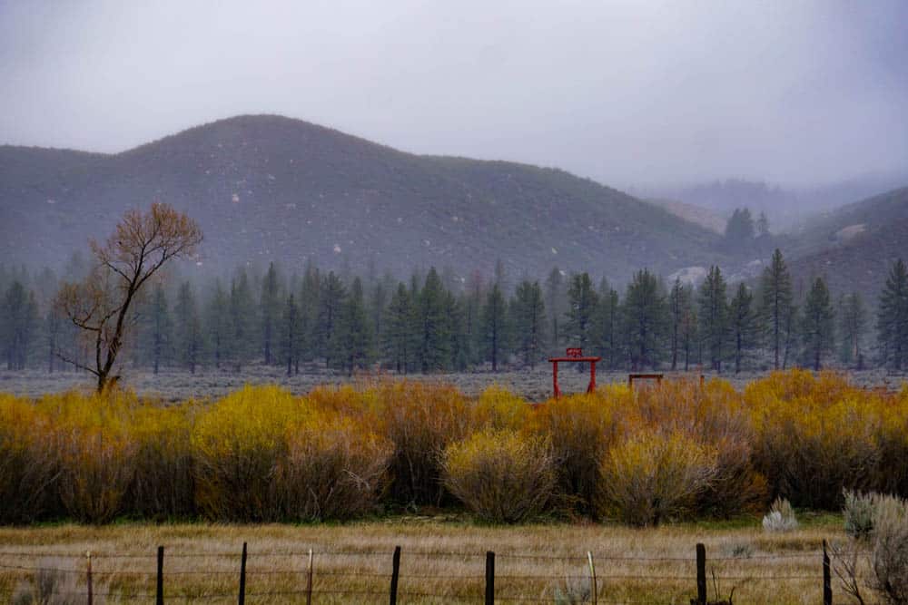 Misty view near Hemet, California