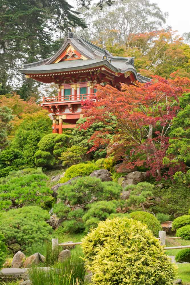Japanese Garden in Golden Gate Park San Frnacisco is one of the best Bay Area gardens you can visit.