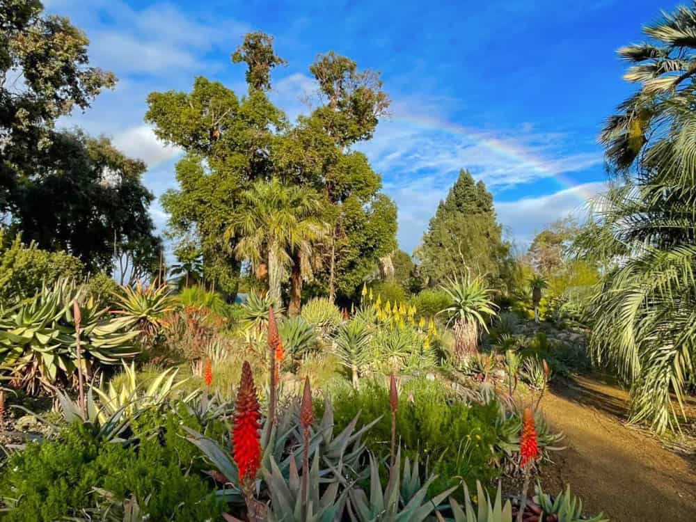 The Ruth Bancroft Garden is one of the best Bay Area gardens you can visit!